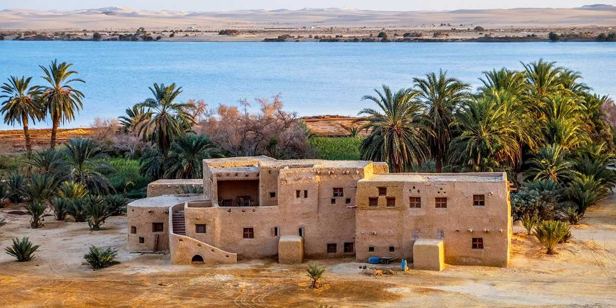 Old mud-brick houses, Siwa Oasis