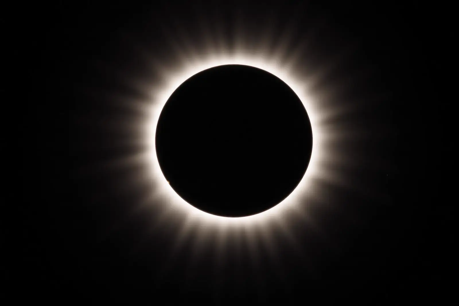 Solar corona during totality